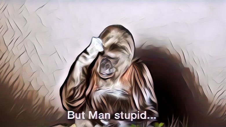 Pesan Terakhir Koko si Gorila Sebelum Meninggal Dunia, Penting Buat Manusia