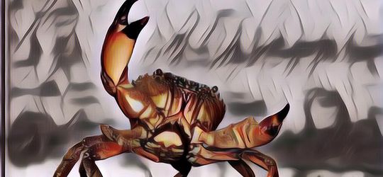 Gokil! Kepiting Ini Dilelang dengan Harga Ratusan Juta Rupiah ...