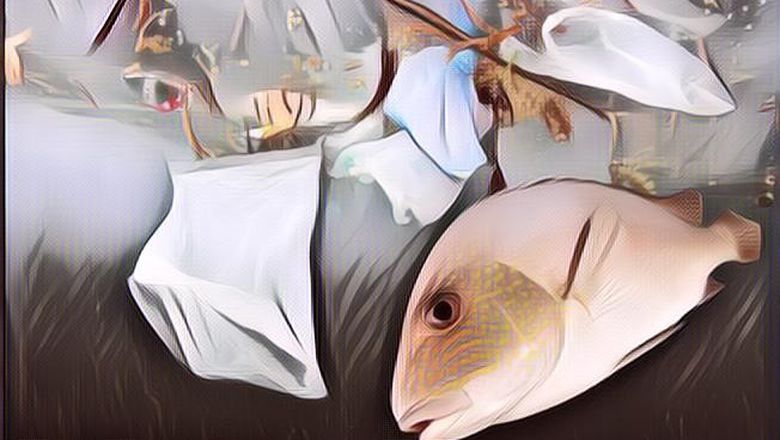 Dari Mana Sebenarnya Asal Sampah Plastik yang Ada di Lautan Lepas yang Kerap Membahayakan Nyawa Hewan Laut?