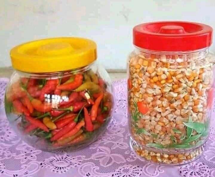 2. Kalau suguhannya kayak gini, dijamin awet deh sampai lebaran berikutnya