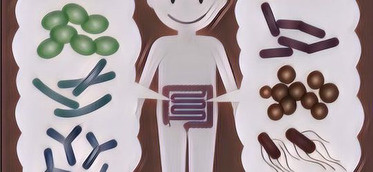 Berjuta Manfaat Probiotik untuk Tubuh yang Jarang Diketahui Orang