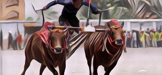 Nggak Sekedar Sate Ayam dan Garam, Ini Fakta Menarik Tentang Madura!