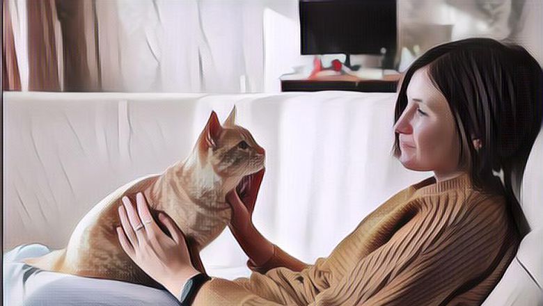 Hari Kucing Sedunia Jatuh Pada 8 Agustus, Berikut Fakta-faktanya