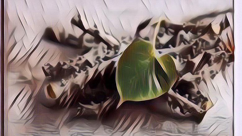 Jamu Tradisional Bisa Tekan Kelebihan Karbohidrat Selama Idul Adha, Ini Rekomendasi Ahli Gizi