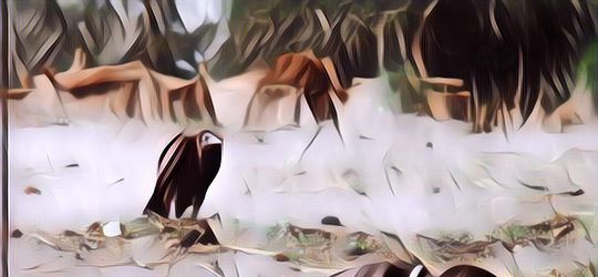 Kisah Tragis Fotografer di Balik Foto Terkenal yang Menang Nobel Pulitzer