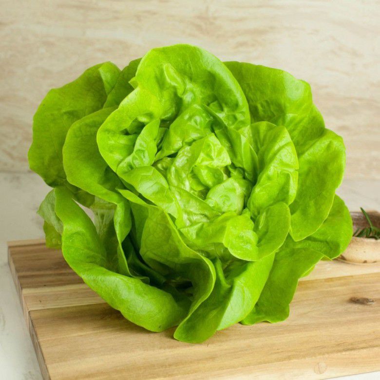 9. Butterhead lettuce