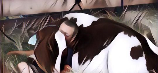 Gokil, 15 Foto Viral Orang Ketiduran dengan Posisi Lucu (Part I)