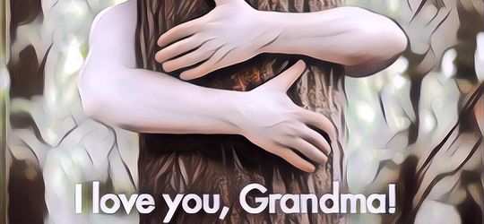 Capsula Mundi: Kuburan Inovatif yang Bikin Kamu Jadi Pohon Setelah Mati