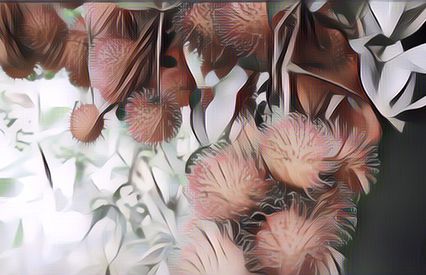 Viral Buah Rambutan Dijadikan Bahan Dekorasi Pernikahan, Begini Hasilnya