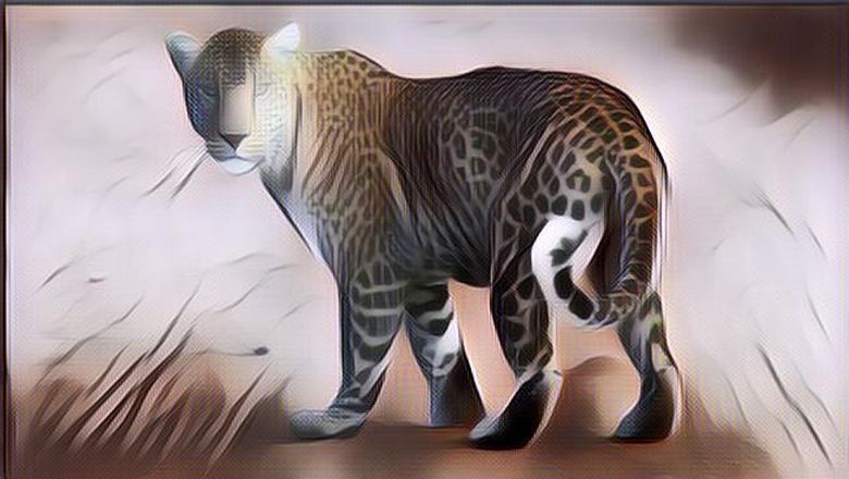 Anak Ini Didatangi Macan Tutul saat Lagi Ngegame, Endingnya Tak Terduga