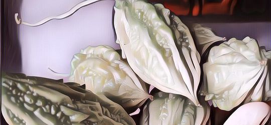 Pare: Si Pahit yang Kaya Nutrisi!