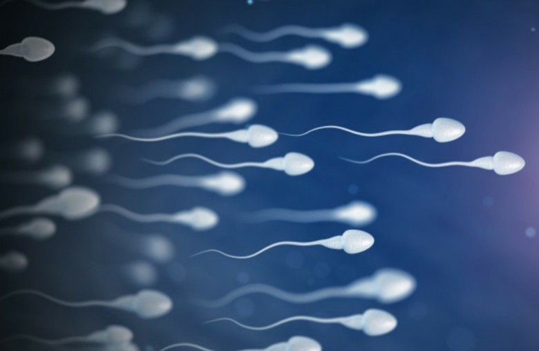 Kisah pendonor sperma