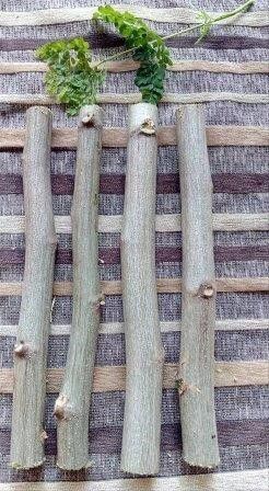 Cara Mengatasi hantu Tuselak