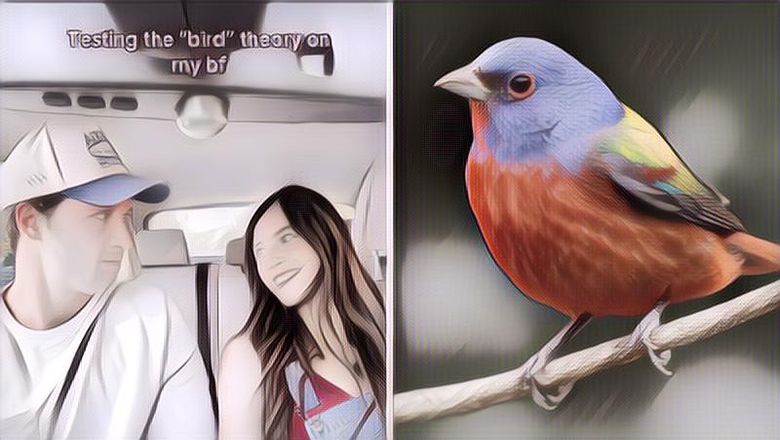 Lagi Viral di TikTok, Begini Cara Cek Hubungan dengan Pasangan Pakai Bird Theory