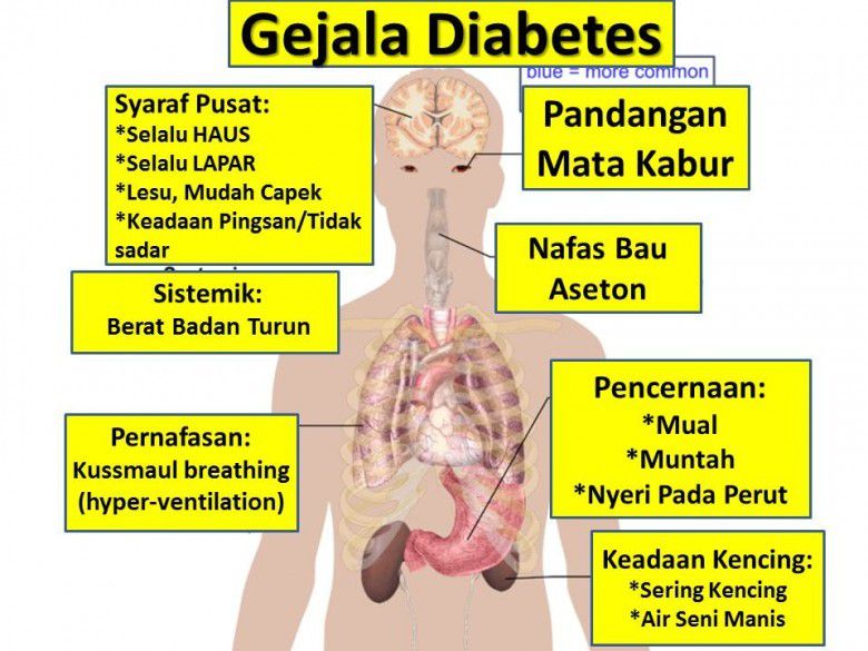 # Gejala Penyakit Diabetes