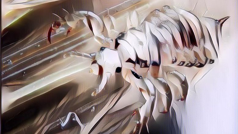 Cara Menghilangkan Kutu dan Telurnya: Pakai Bahan Alami Manjur Banget!