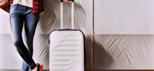 Astaga! Pria Ini Bawa Koper ke Jakarta Isinya Bukan Baju, Tapi Ini….