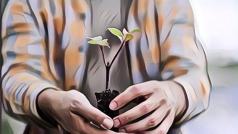 4 Zodiak yang Mencintai Alam, Kamu Termasuk Nggak?