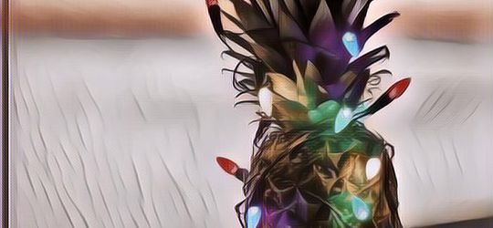 Tak Harus Pohon Cemara, Ini Alternatif Penggantinya