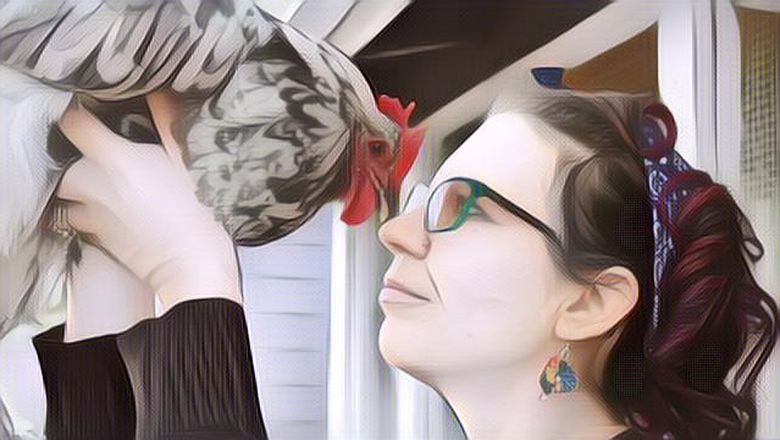 Demi Selamatkan Ayamnya Kesayangan, Wanita Ini Rela Keluarkan Biaya Rp 140 Juta Gengs