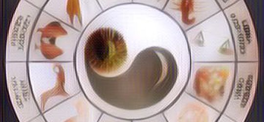 Zodiak Minggu Ini: Harapan Capricorn Perlu Lebih Relistis, Bagaimana dengan Aquarius?