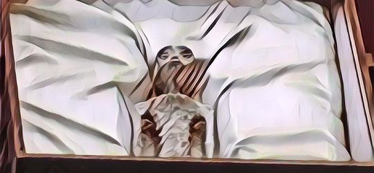 Ilmuwan Meksiko Meneliti Jasad Alien, Diduga Asli!