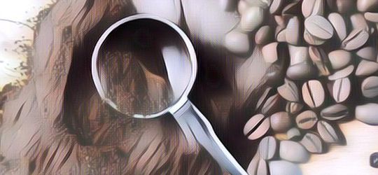 Heboh Kopi Dicampur Sampo Bisa Atasi Rambut Rontok, Dokter Kulit Akhirnya Beri Komentar