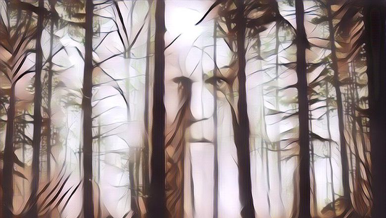 Cerita Misteri Alas Roban Part 2