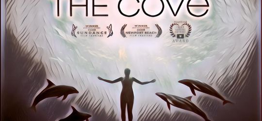 Mengenal Taiji "The Cove", Kota Kecil di Jepang Pemburu Lumba-Lumba