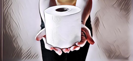 Begini Alasan Orang Eropa dan Amerika Lebih Sering Gunakan Tisu Toilet Ketimbang Pakai Air saat di WC