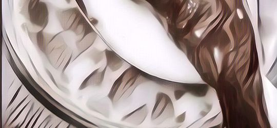 Dalgona Gagal Terus Bikin Frustasi? Eits! Kenali Dulu Masalahnya