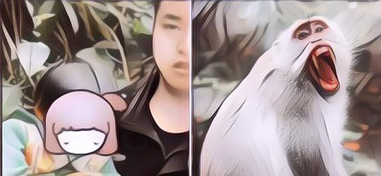 Gak Lazim! Bocah 3 Tahun Diculik Monyet, Berujung Ditemukan Di Lokasi Mengejutkan Ini