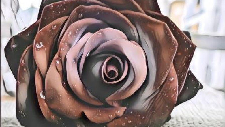 Efek Corona, Viral Petani Buang Bunga dan Jadikan Pakan Kambing