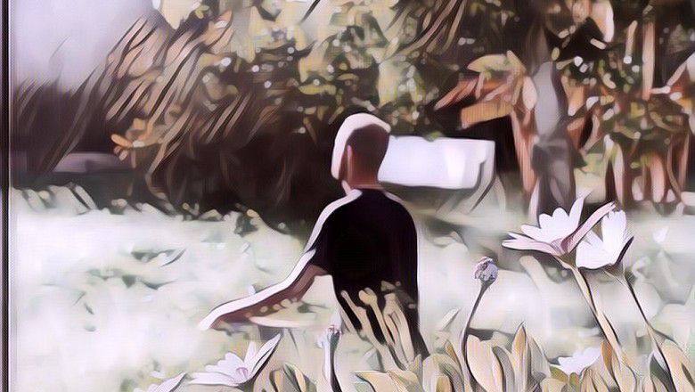 Shinrin-Yoku, Tradisi Berjemur di Hutan dari Jepang, Ini Manfaatnya!