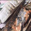 Resep Pepes Ikan Patin Enak Bergizi Anti Gagal!