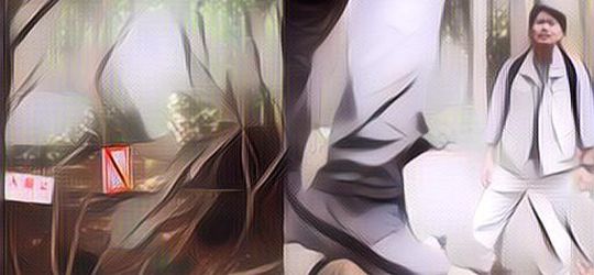 Seram! 5 Fakta Tentang Hutan Aokigahara di Jepang