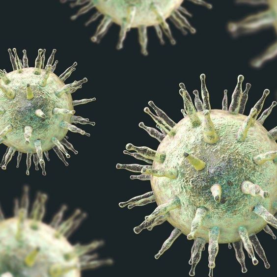 2. Reaksi Sistem Imun Tubuh