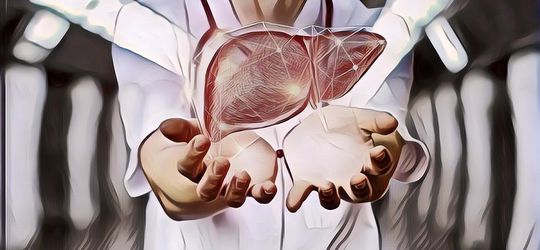 PENTING! Berikut 5 Cara Menjaga Organ Hati Agar Tetap Sehat dan Terhindar dari Berbagai Penyakit