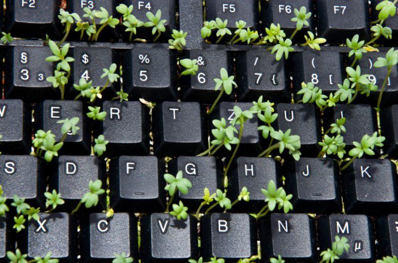 2. Mengandung Bakteri Berbahaya