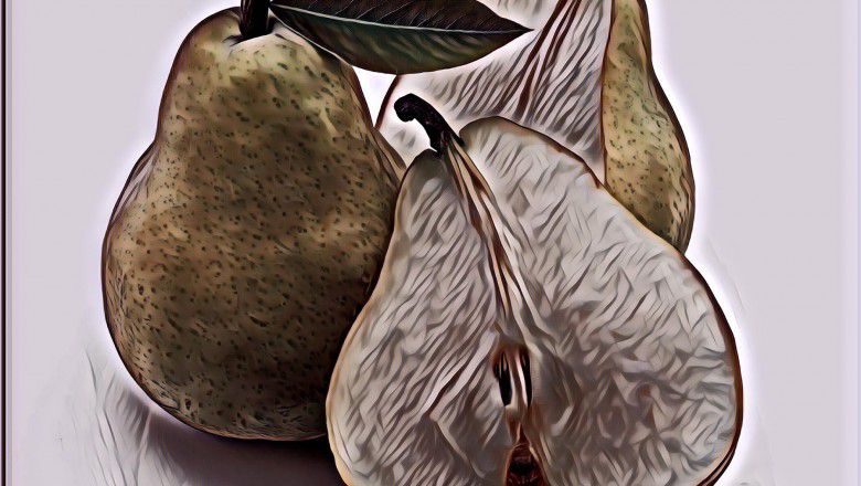 5 Kota yang Tepat Untuk Budidaya Buah Pir di Indonesia