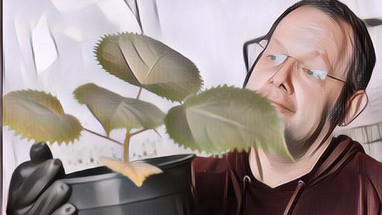 Ekstrim! Pria Ini Nekat Tanam Tumbuhan Paling Berbahaya Di Dunia Yang Bikin Orang Bunuh Diri, Ternyata Ini Tujuannya