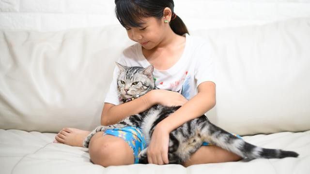 4. Dengkuran kucing dapat meningkatkan penyembuhan dan kepadatan tulang