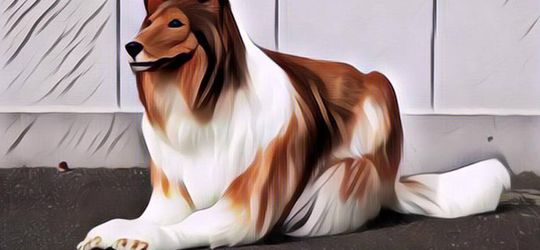 Viral Pria Asal Jepang Rela Keluarkan Biaya Rp230 Juta Demi Beli Kostum Anjing