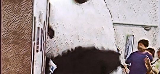 Karena Panda Ini Kegendutan Dia Jadi Susah Masuk