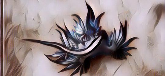 Sosok Naga Biru Langka Pembunuh Terindah Di Lautan, Cantik Sih Tapi Sangat Mematikan