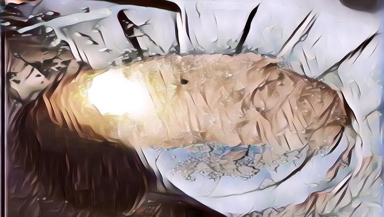 Ada Hujan Jelly Selama 30 Menit, Warga Gorontalo Langsung Geger