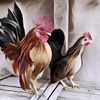 Ayam Terkecil di Dunia Gedenya Cuma Sekepalan Tangan, Unik Nih!