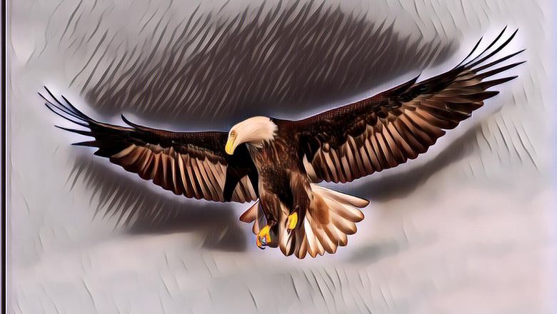 Peneliti Rusia Kehabisan Dana karena Dapat SMS dari Burung Elang