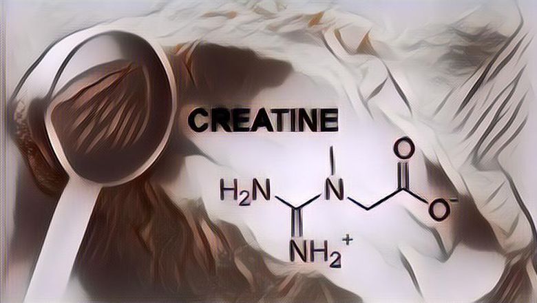 5 Manfaat Suplemen Creatine Bagi Tubuh, Bagus Banget untuk yang Suka Nge-Gym