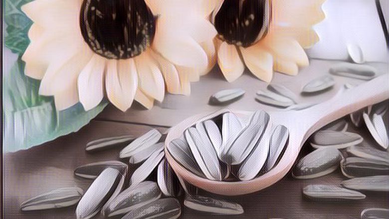 Benarkah Makan Kuaci Bagus Untuk Program Diet Sampai Bisa Bikin Kurus? Begini Penjelasan Pakar